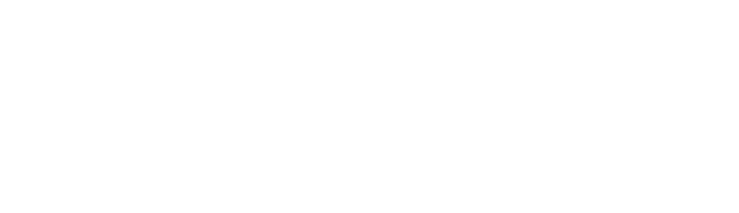LAVCOM Partners